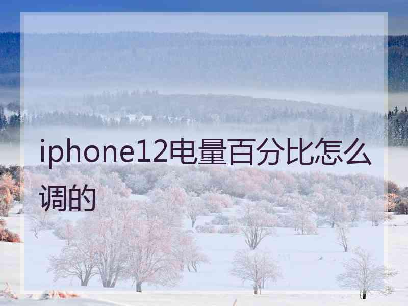 iphone12电量百分比怎么调的