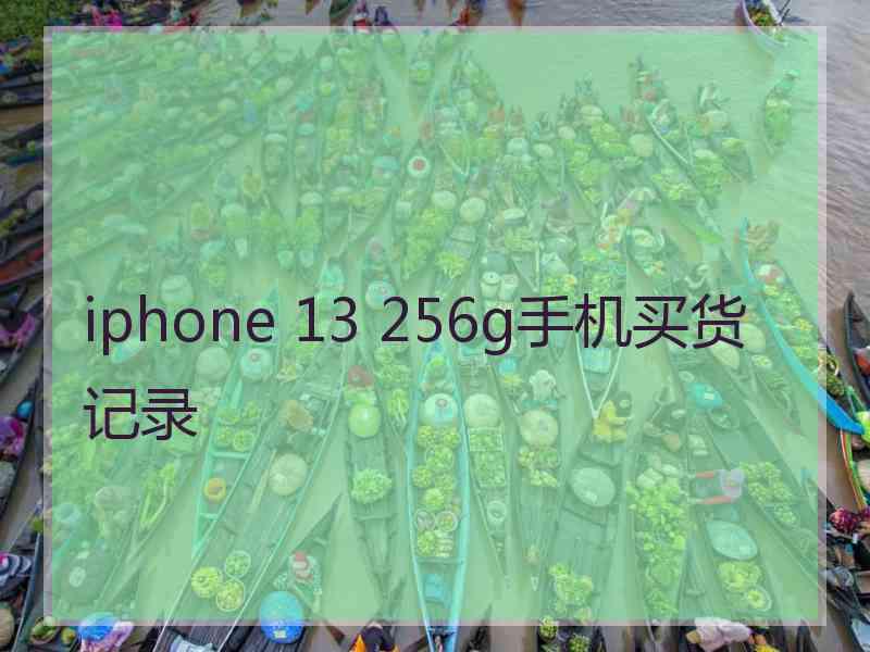 iphone 13 256g手机买货记录