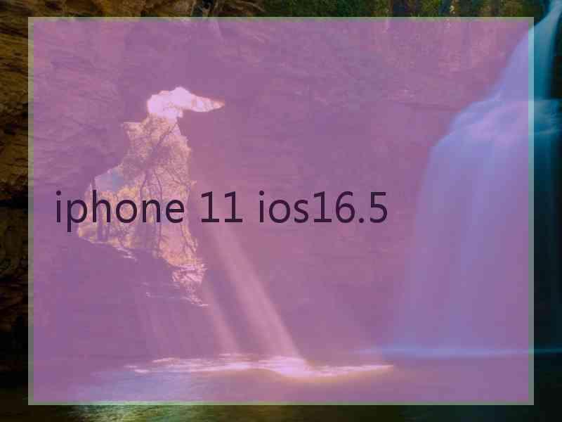 iphone 11 ios16.5