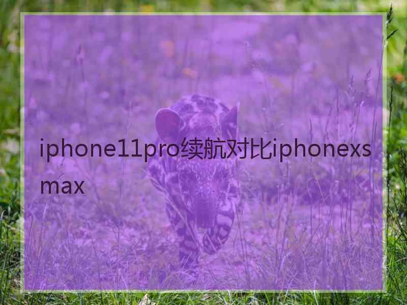 iphone11pro续航对比iphonexsmax