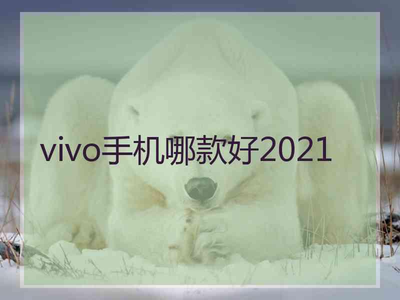 vivo手机哪款好2021