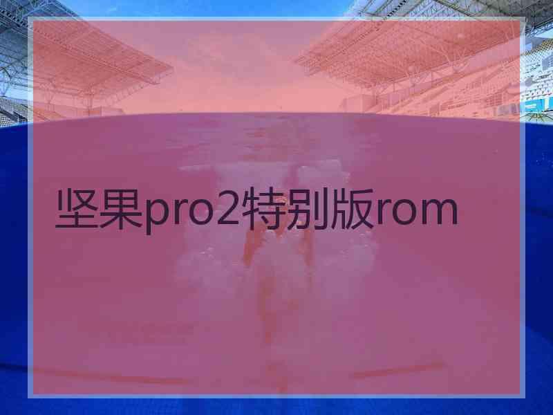 坚果pro2特别版rom