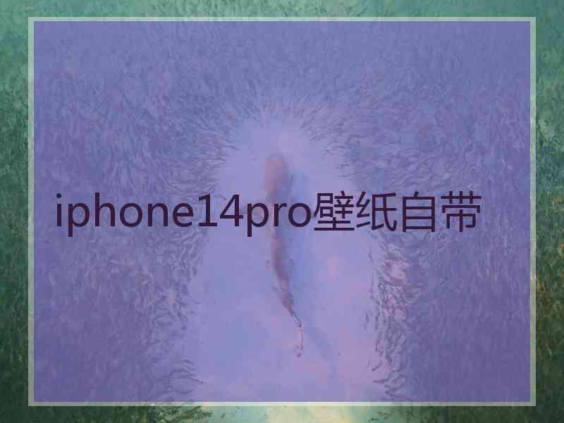 iphone14pro壁纸自带