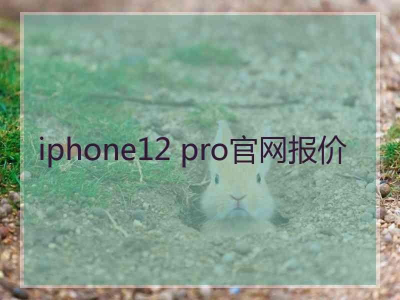 iphone12 pro官网报价