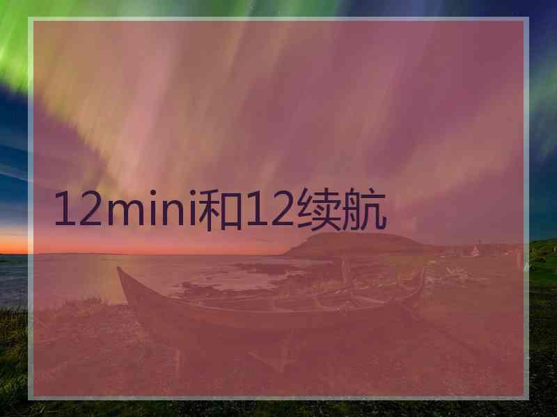 12mini和12续航