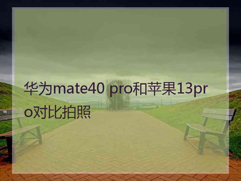 华为mate40 pro和苹果13pro对比拍照