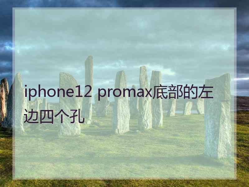 iphone12 promax底部的左边四个孔