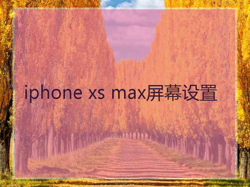 iphone xs max屏幕设置