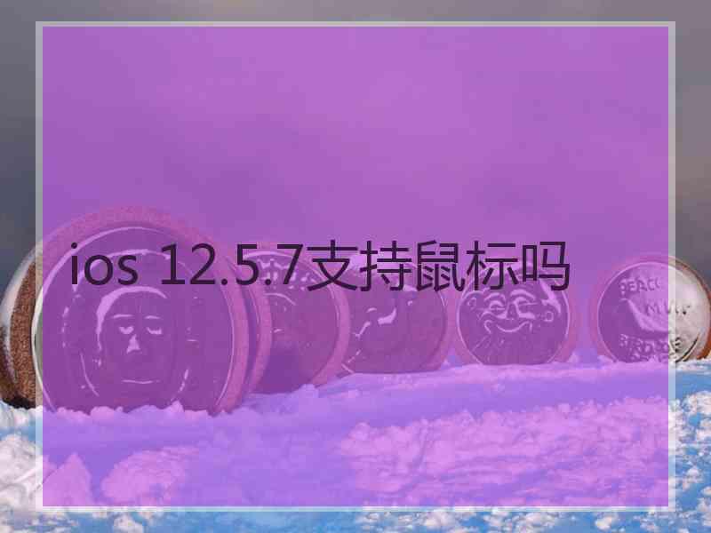 ios 12.5.7支持鼠标吗