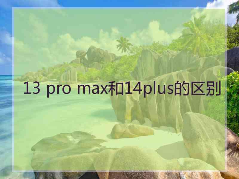 13 pro max和14plus的区别