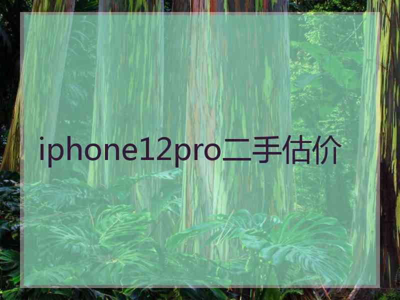 iphone12pro二手估价