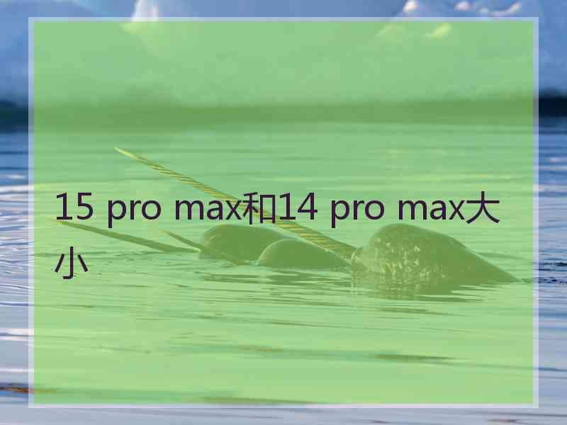 15 pro max和14 pro max大小