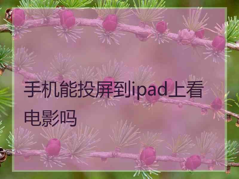 手机能投屏到ipad上看电影吗