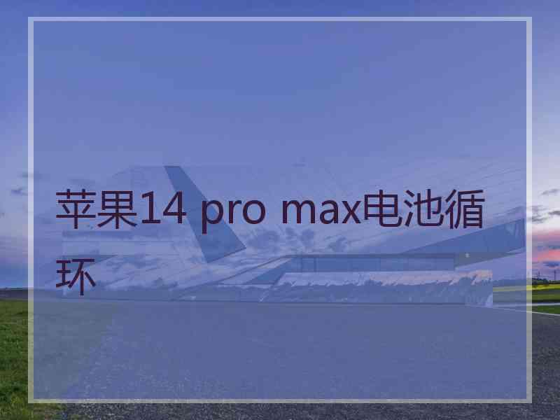 苹果14 pro max电池循环