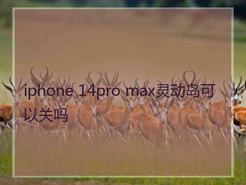 iphone 14pro max灵动岛可以关吗