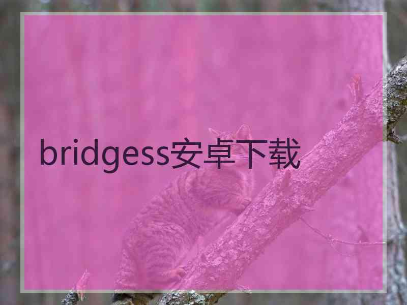 bridgess安卓下载