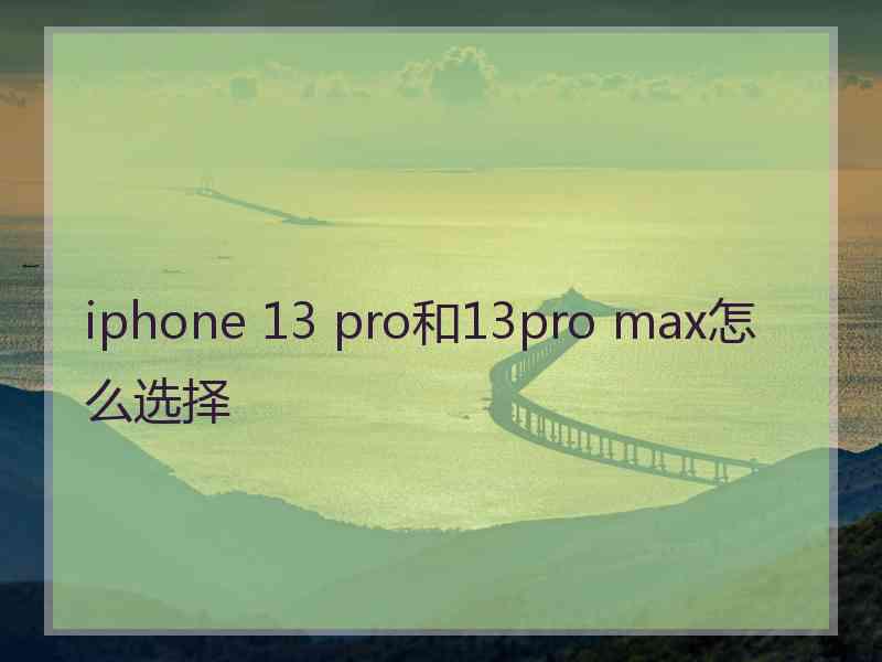 iphone 13 pro和13pro max怎么选择