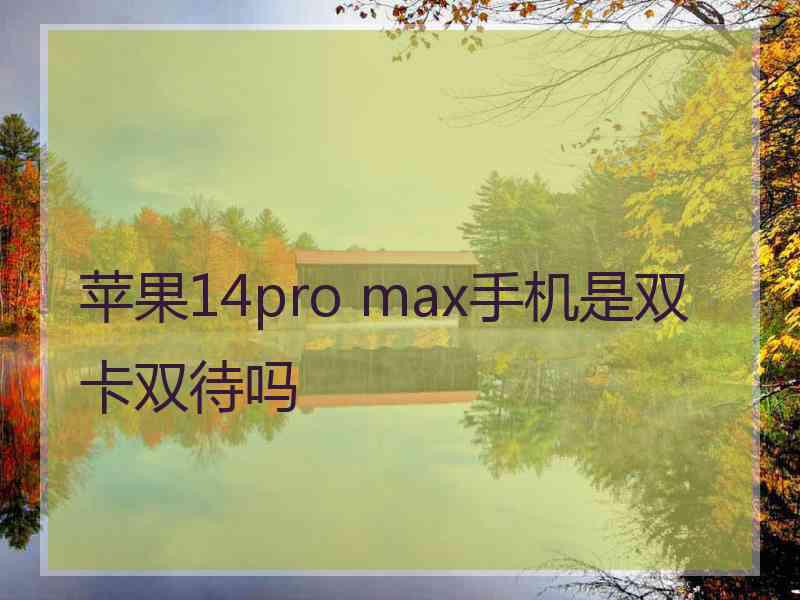 苹果14pro max手机是双卡双待吗