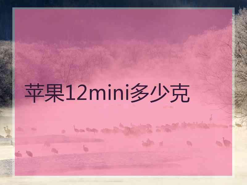 苹果12mini多少克