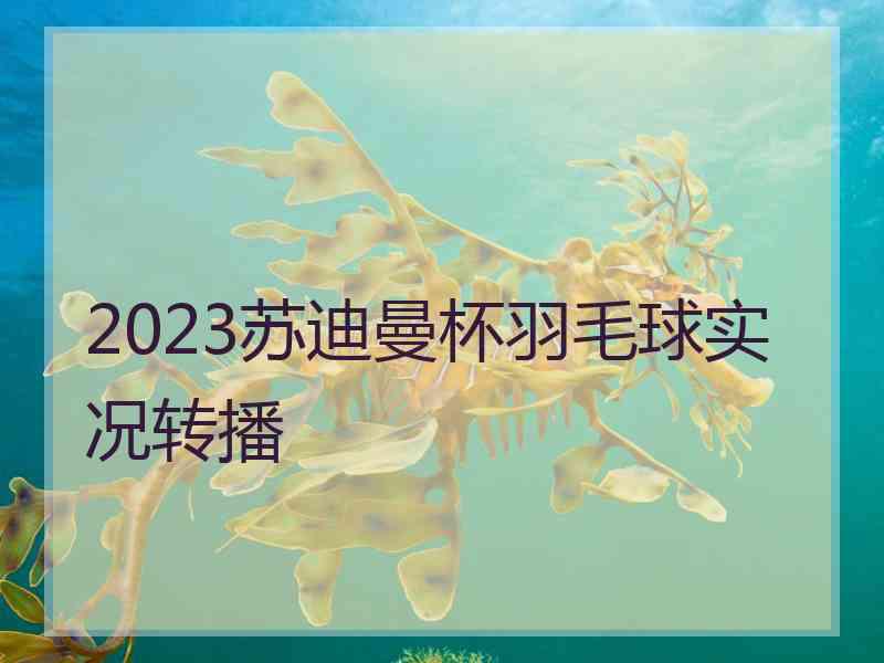 2023苏迪曼杯羽毛球实况转播