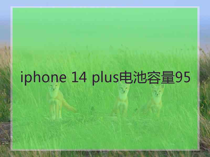 iphone 14 plus电池容量95