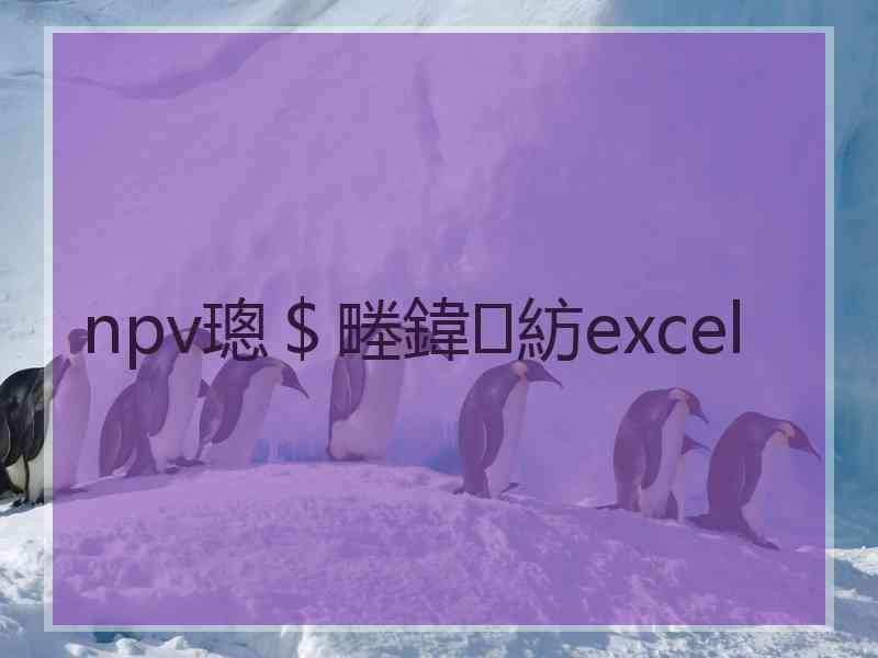 npv璁＄畻鍏紡excel