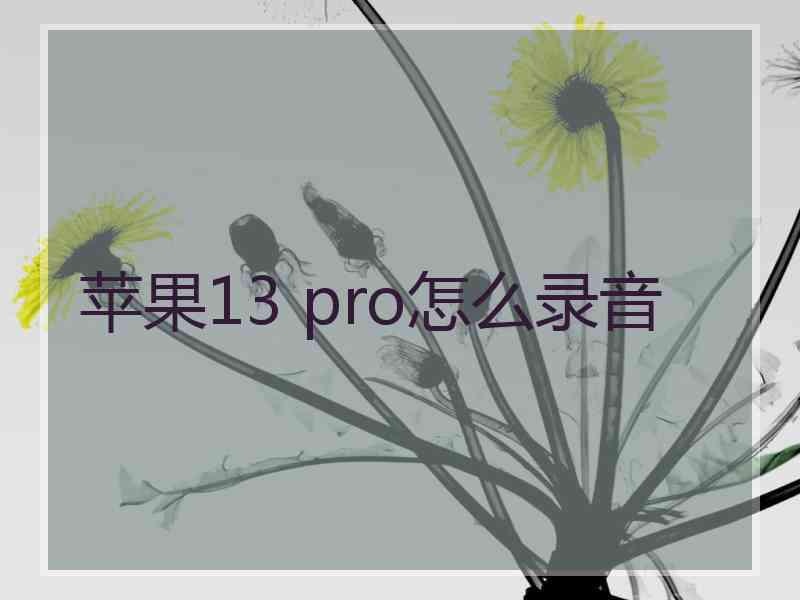 苹果13 pro怎么录音