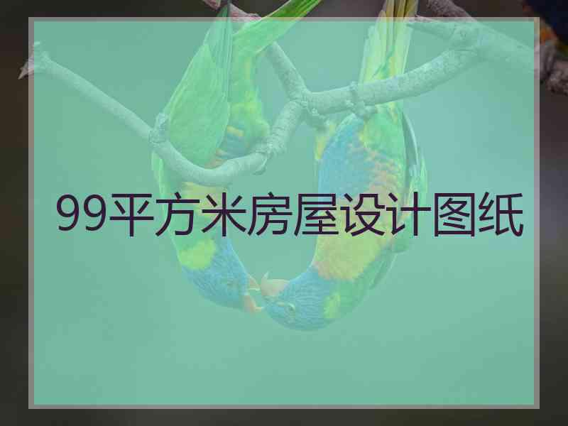 99平方米房屋设计图纸