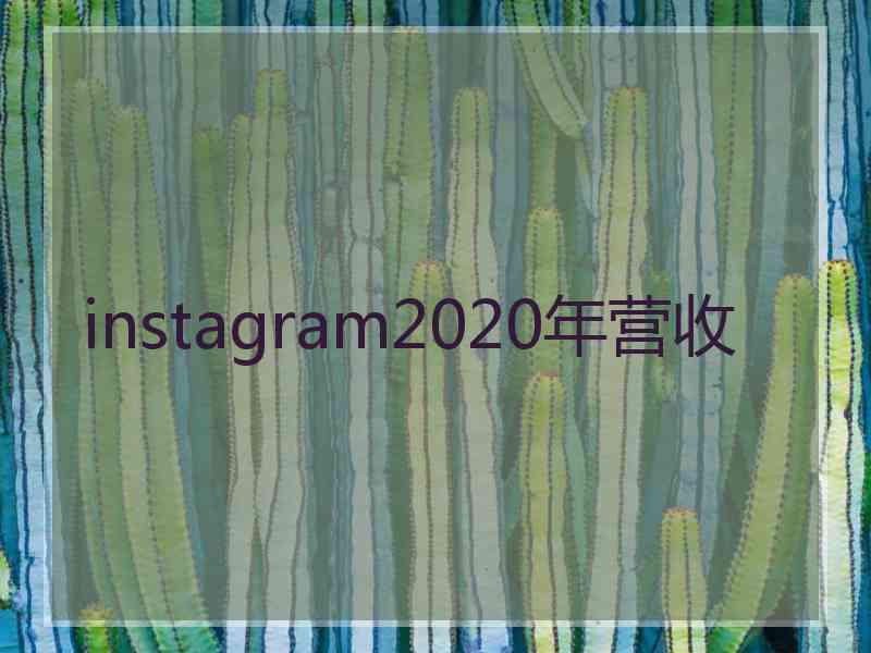 instagram2020年营收