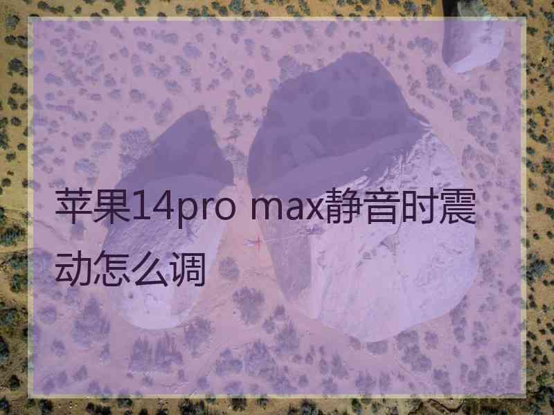 苹果14pro max静音时震动怎么调