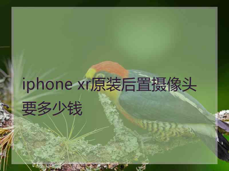 iphone xr原装后置摄像头要多少钱