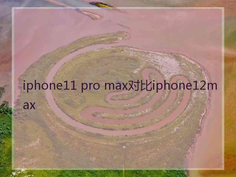 iphone11 pro max对比iphone12max