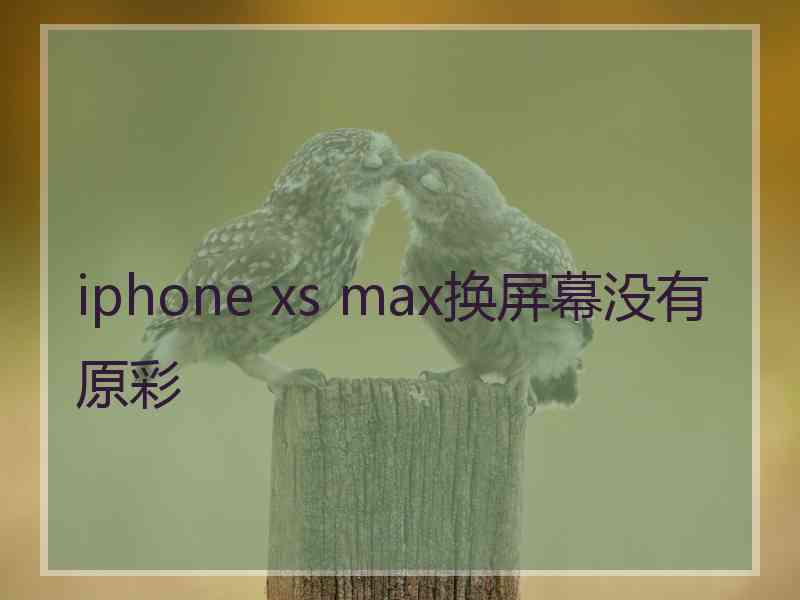 iphone xs max换屏幕没有原彩