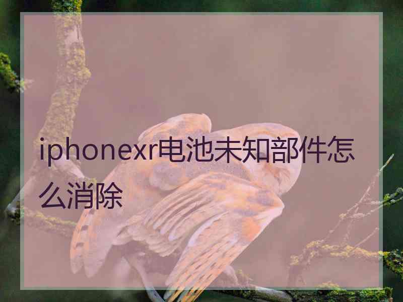 iphonexr电池未知部件怎么消除