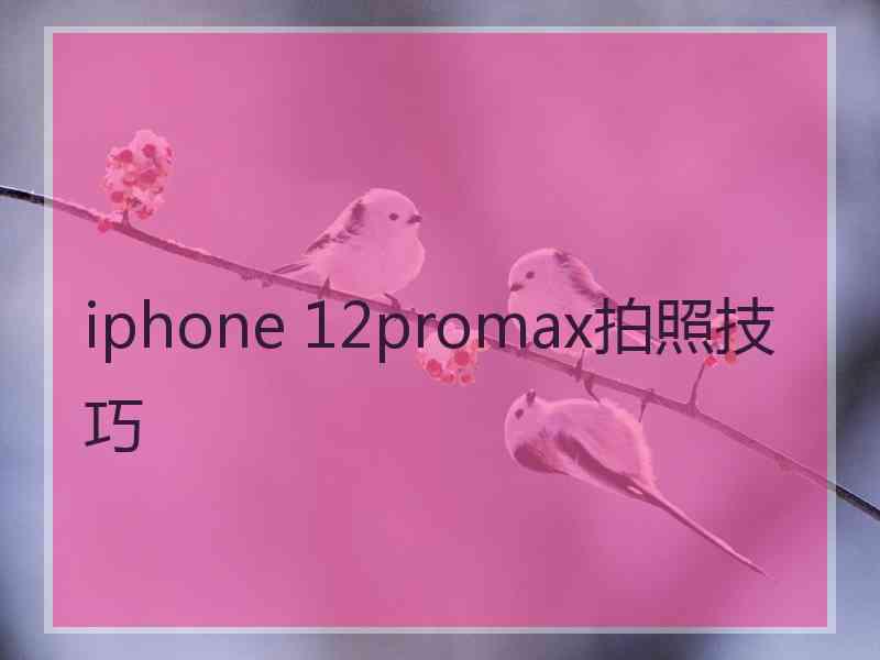 iphone 12promax拍照技巧