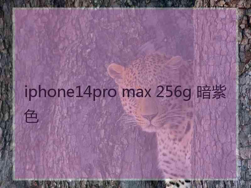 iphone14pro max 256g 暗紫色