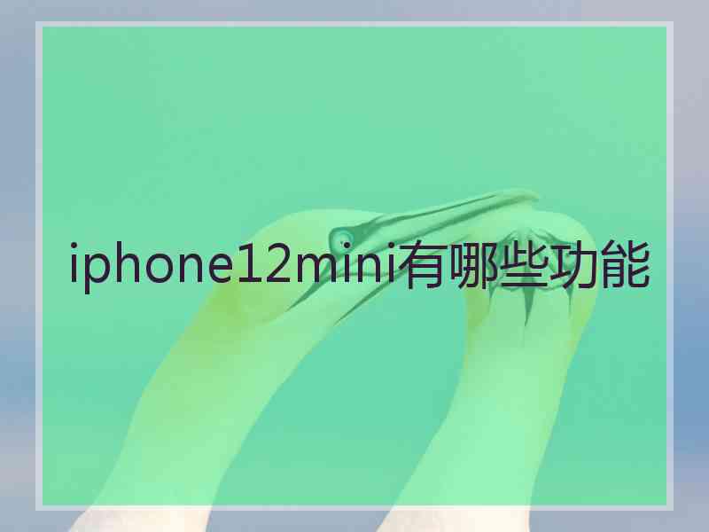 iphone12mini有哪些功能