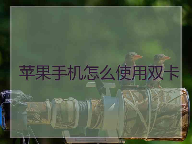 苹果手机怎么使用双卡