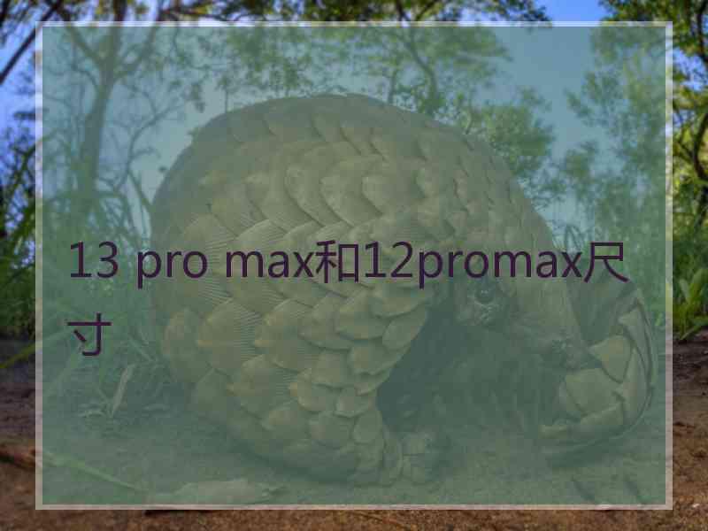 13 pro max和12promax尺寸