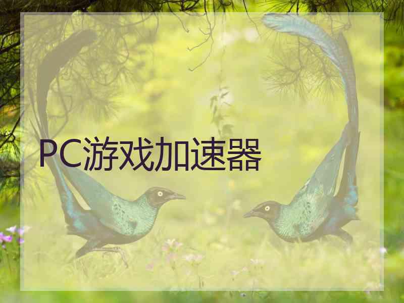 PC游戏加速器