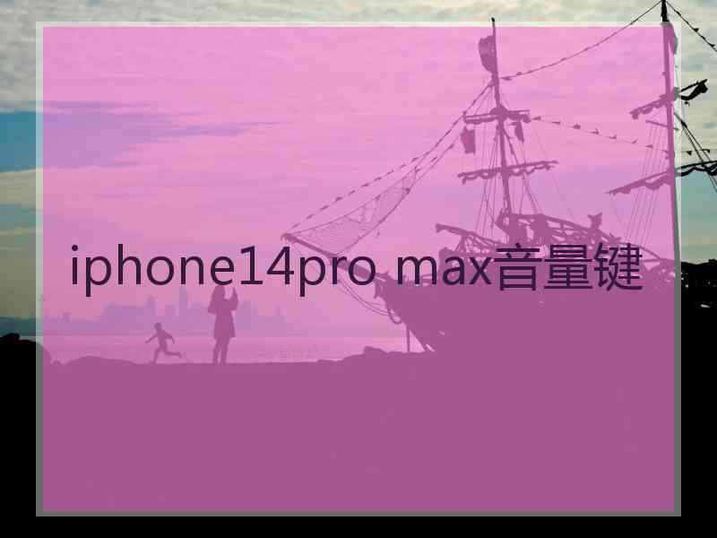 iphone14pro max音量键