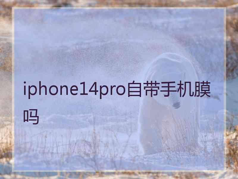 iphone14pro自带手机膜吗