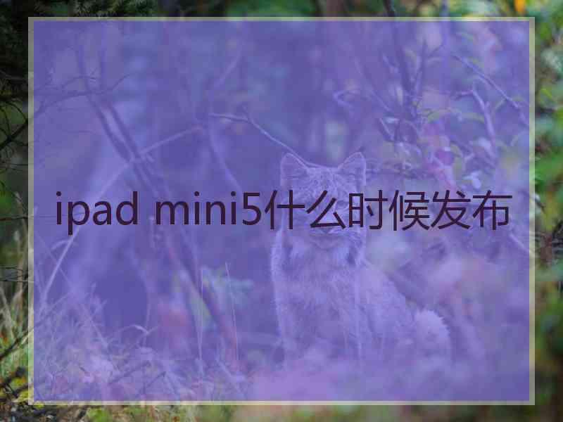 ipad mini5什么时候发布