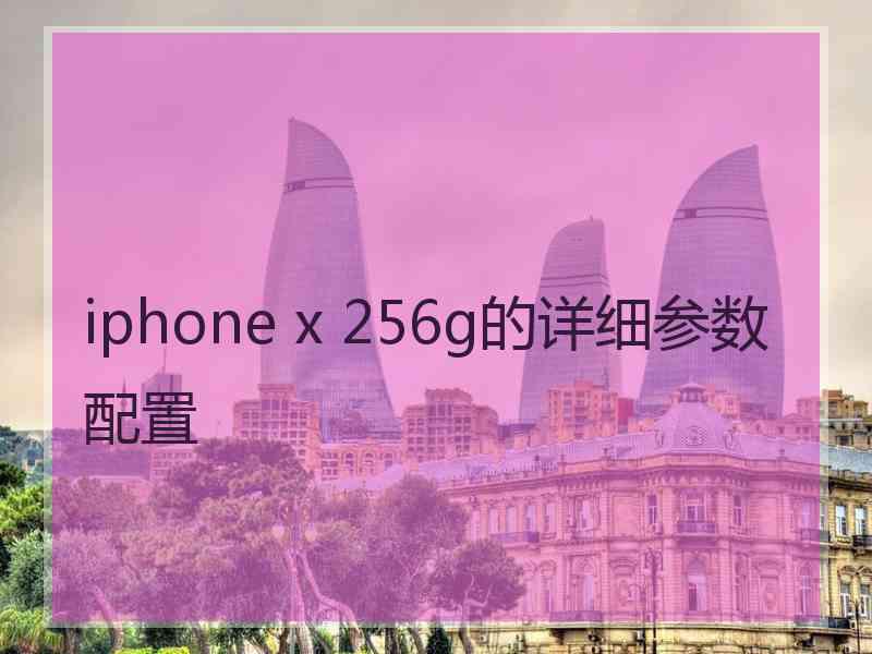 iphone x 256g的详细参数配置