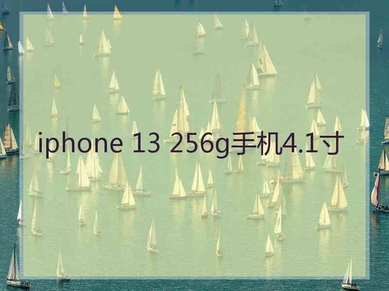 iphone 13 256g手机4.1寸