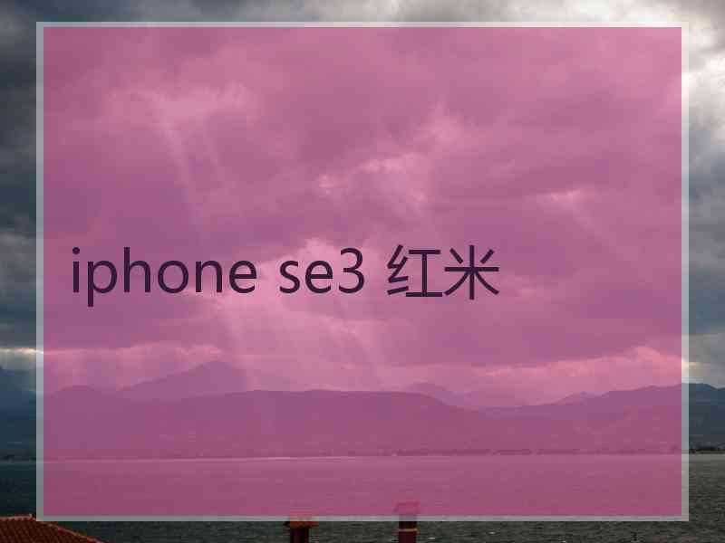 iphone se3 红米