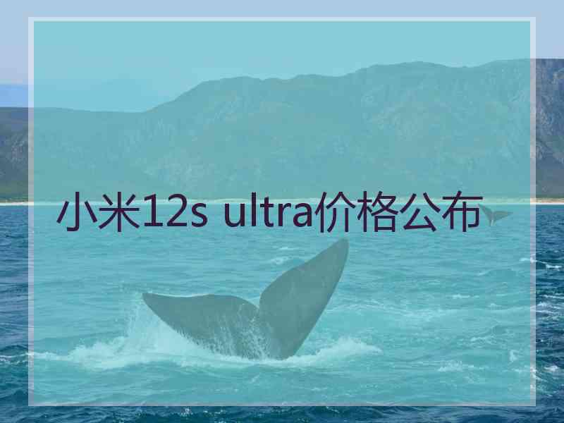 小米12s ultra价格公布