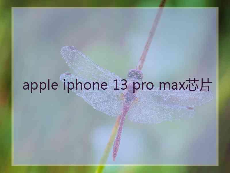 apple iphone 13 pro max芯片