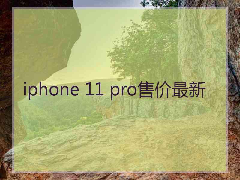 iphone 11 pro售价最新