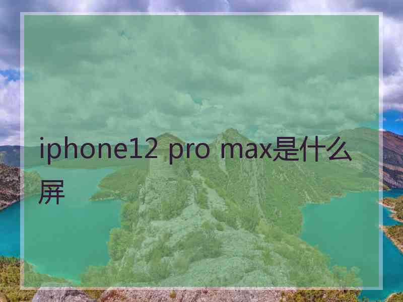 iphone12 pro max是什么屏